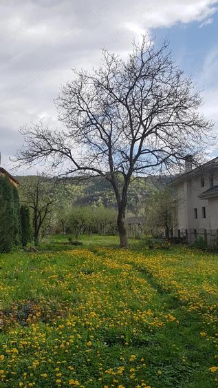 Casă cu 3 camere cu Teren 1477 Mp în Central
