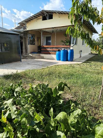 Casă cu Teren 3500 Mp în Central
