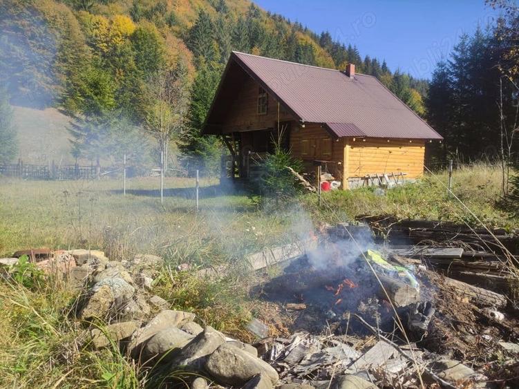 Teren de 9172 mp, în Pintic