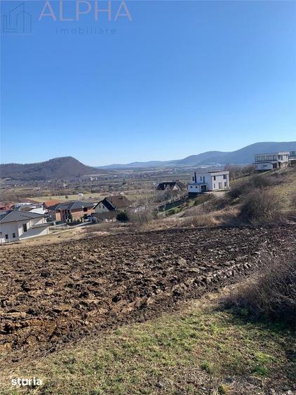 Teren de 6350 mp, în Viișoara