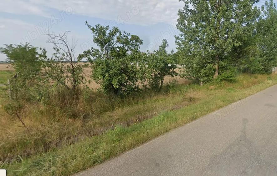 Teren de 3500 mp, în Independența