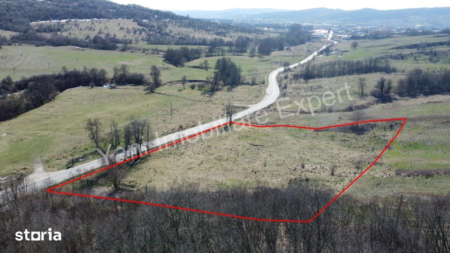 Teren de 10000 mp, în Valea Iașului