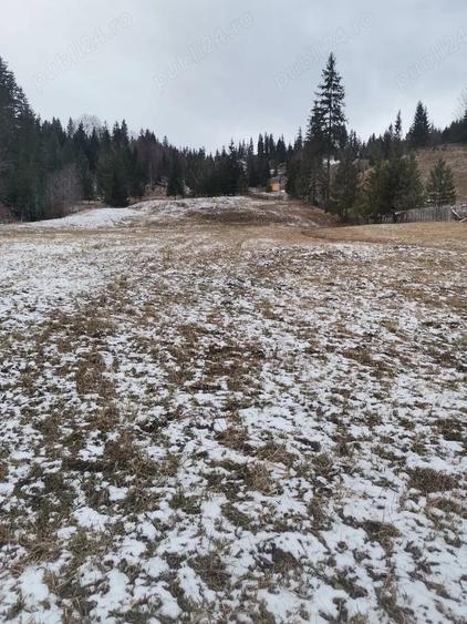 Teren de 10000 mp, în Sadova