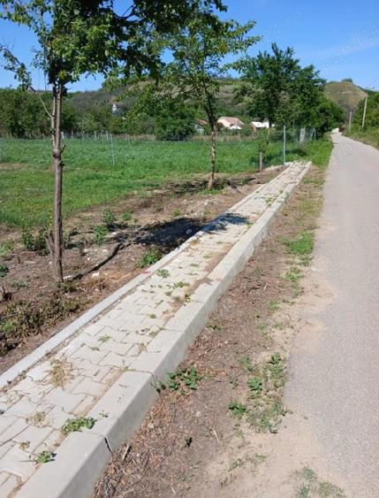 Teren de 1100 mp, în Milcov