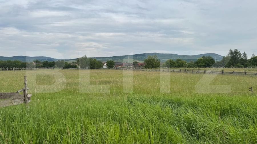 Teren Construcții intravilan de 1100 mp, în Livezile