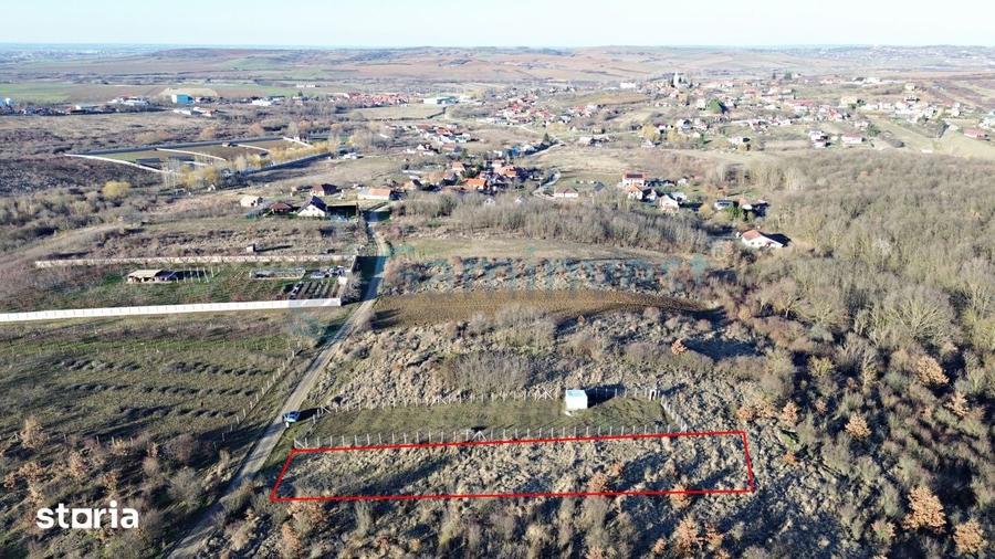Teren intravilan in apropiere de padure, Paleu, Bihor Gaminvest V4509B - 1