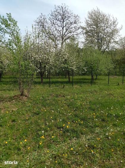 Teren de 718 mp, în Brebu