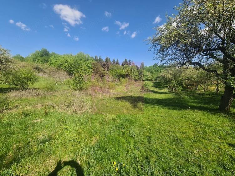 Teren de 1300 mp, în Voila