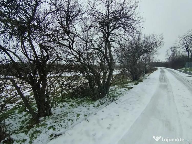 Teren de 640 mp, în Mischii