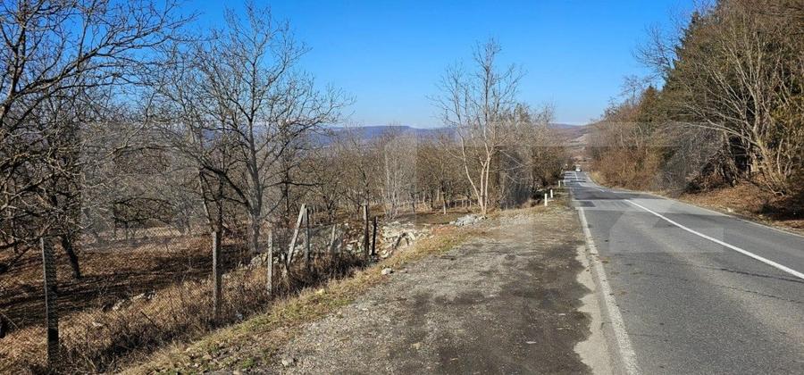 Teren Construcții intravilan de 3000 mp, în Nord