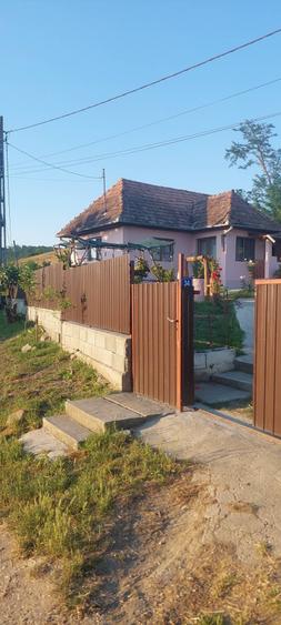 casa Visinelu Mures - 3