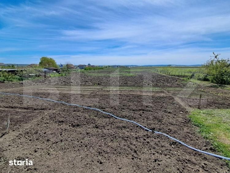 Casă cu 3 camere cu Teren 2900 Mp în Sâncraiu de Mureș