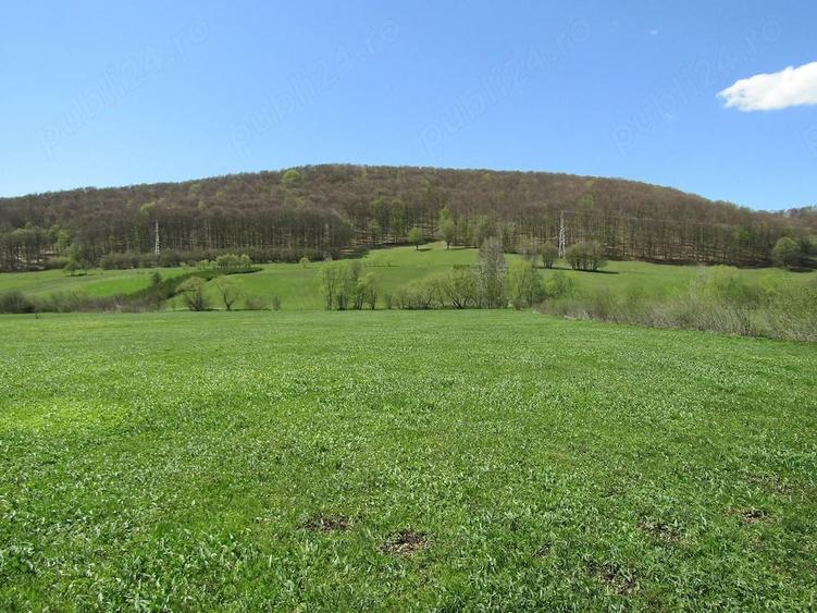 Teren de 4300 mp, în Valea Mare