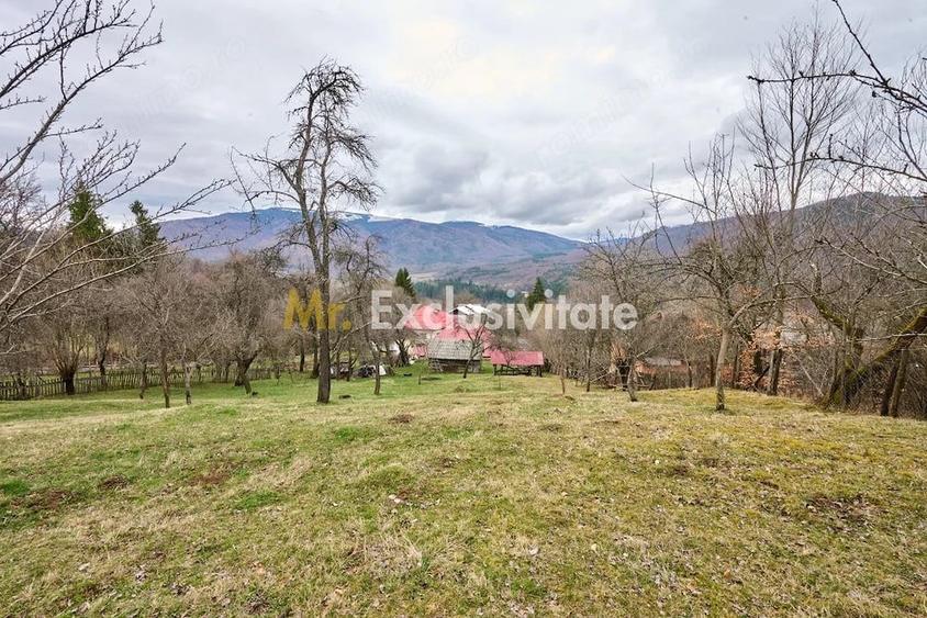 Casă cu 4 camere cu Teren 4213 Mp în Nucșoara