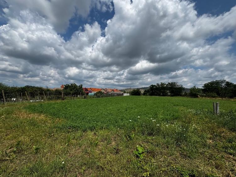 Casă individuală cu 2 camere cu Teren 2162 Mp în Vest