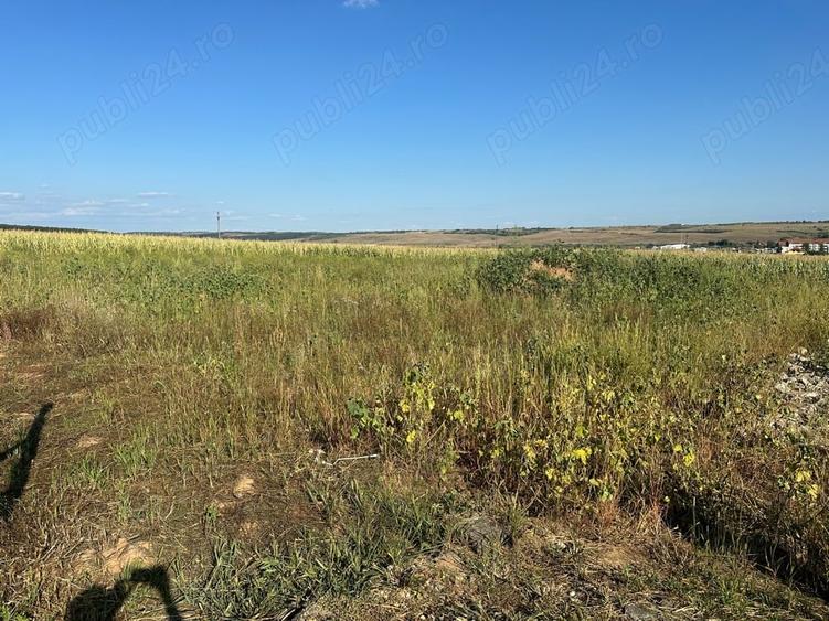 Teren de 750 mp, în Central
