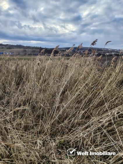 Teren agricol extravilan de 2300 mp, în Central
