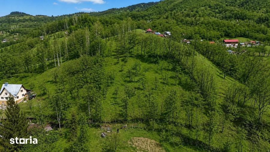 Oportunitate investitie teren la munte, Prahova | 3.485 mp | View spe - 5