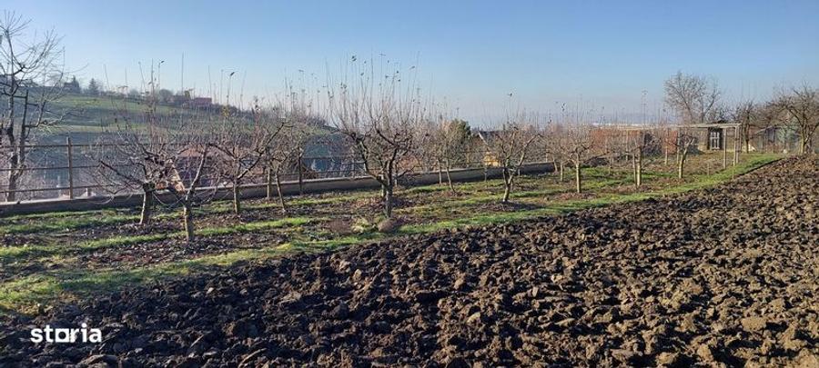 Teren de 650 mp, în Crăciunești