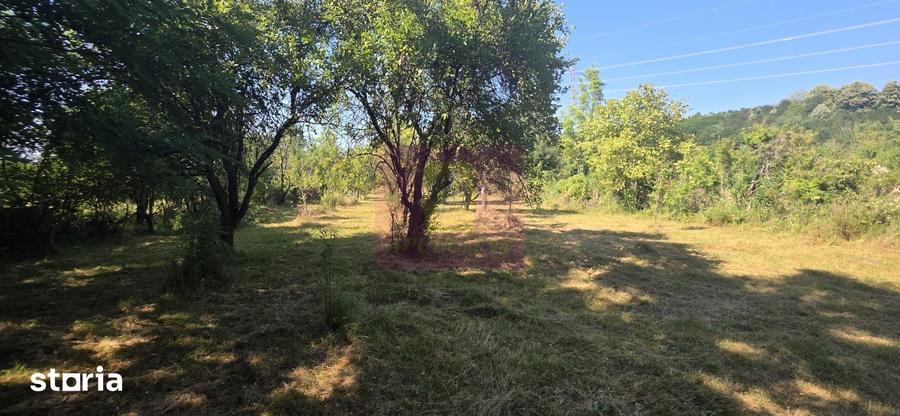 Teren intravilan de vanzare 3375 mp in Brebu - 1