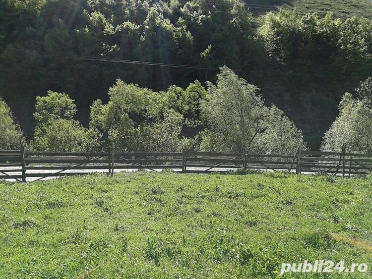 Teren de 1510 mp, în Leșu