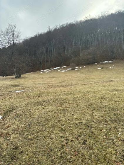 Teren de 5049 mp, în Vama Buzăului
