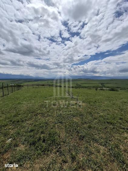 Teren de 11500 mp, în Roșia