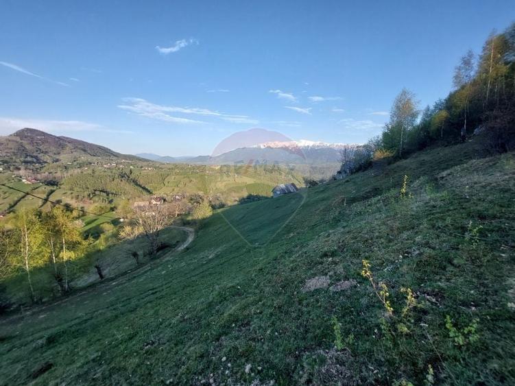 Teren Construcții intravilan de 2227 mp, în Peștera