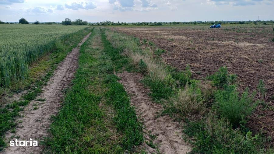 Teren de 10000 mp, în Periș