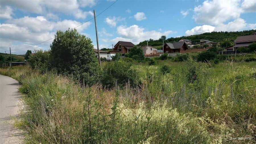 Teren de 966 mp, în Chinteni