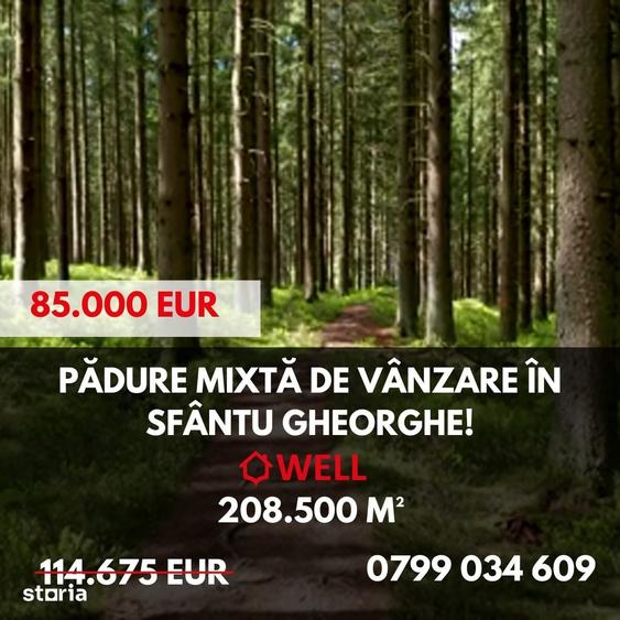 Teren de 208500 mp, în Central