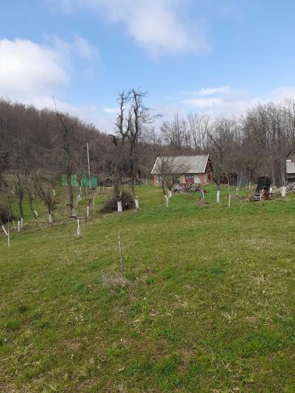 Apartament cu 2 camere în Șopotu Nou
