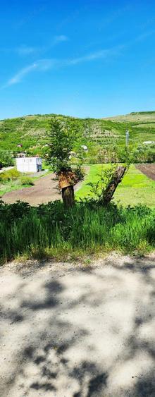 Teren de 2900 mp, în Căianu
