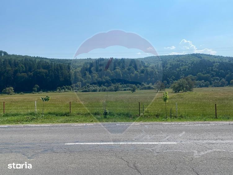 Teren Extravilan 4,306 mp in Vama Buzaului la Strada Principala - 2