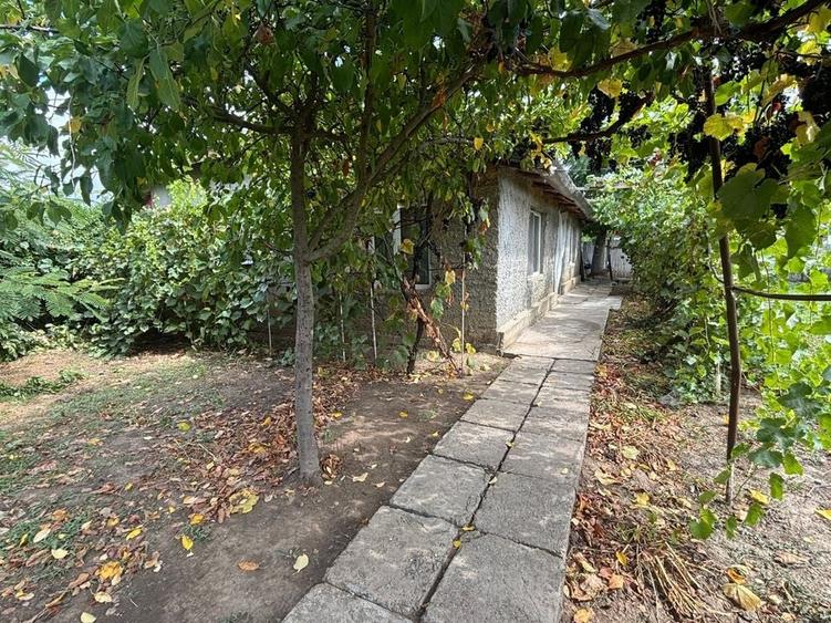 Vand Casa Silistraru - 6