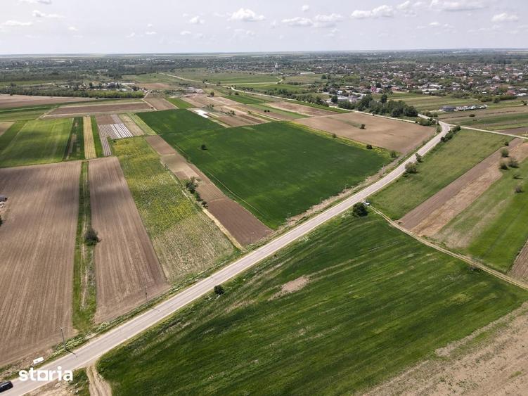 Teren de 3400 mp, în 1 Decembrie