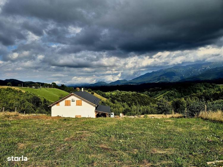 Teren Extravilan De Vanzare Pestera, Moeciu- Investitie Cu Potential - 4