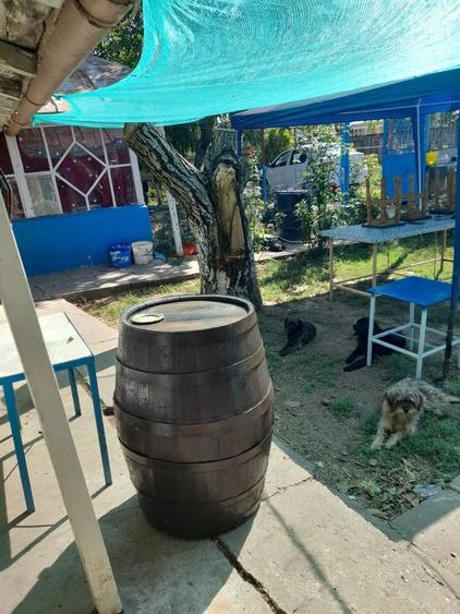 Casă cu 3 camere în Central