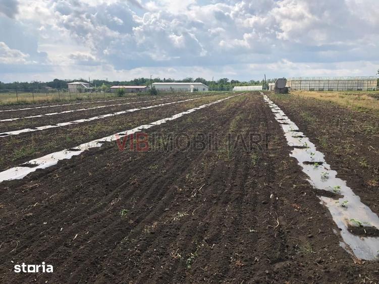 Ferma de vanzare 3 ha ,Exploata?ie agricola ?i zootehnica - 1