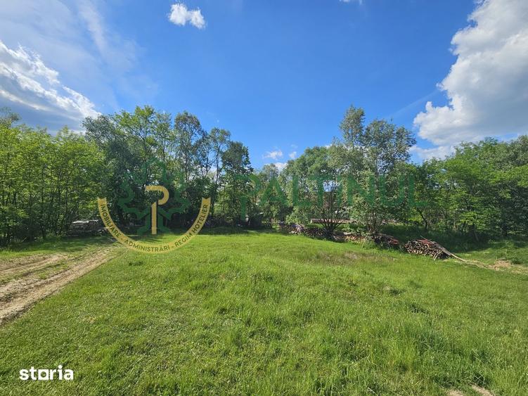 Teren de 2600 mp, în Chirpăr