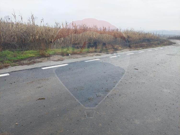 Teren intravilan de vanzare – Nicolae Balcescu, jud. Bacau - 3