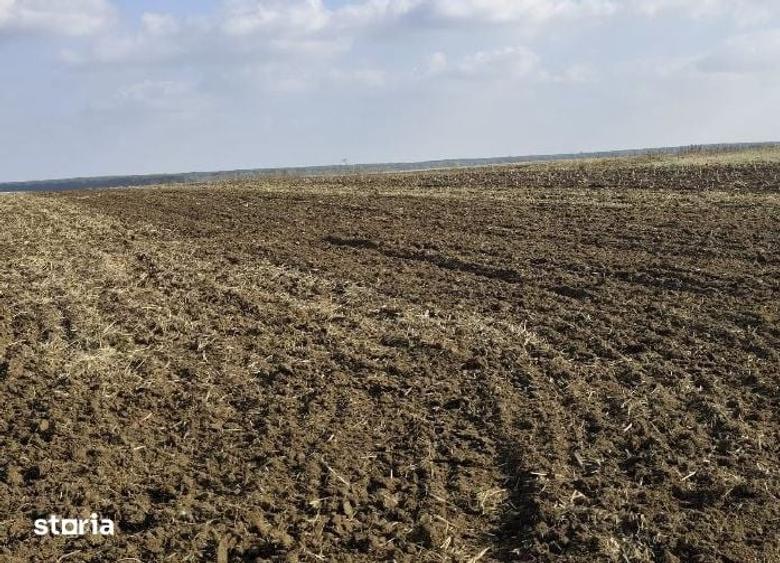Teren de 3000 mp, în Radovan