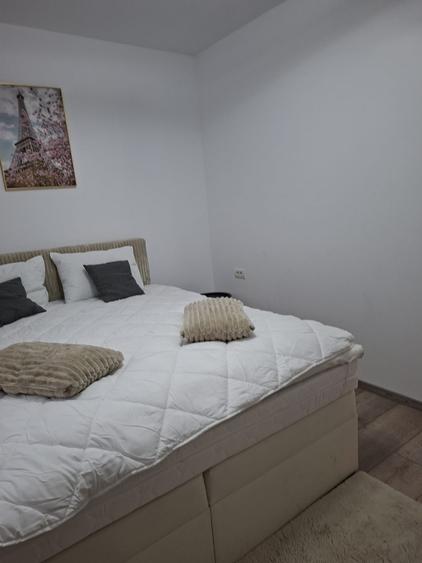 Apartament cu 2 camere nedecomandat în Teilor