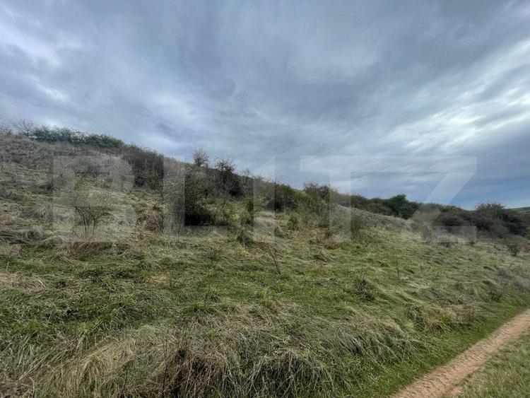 Teren Construcții extravilan de 2800 mp, în Drâmbar