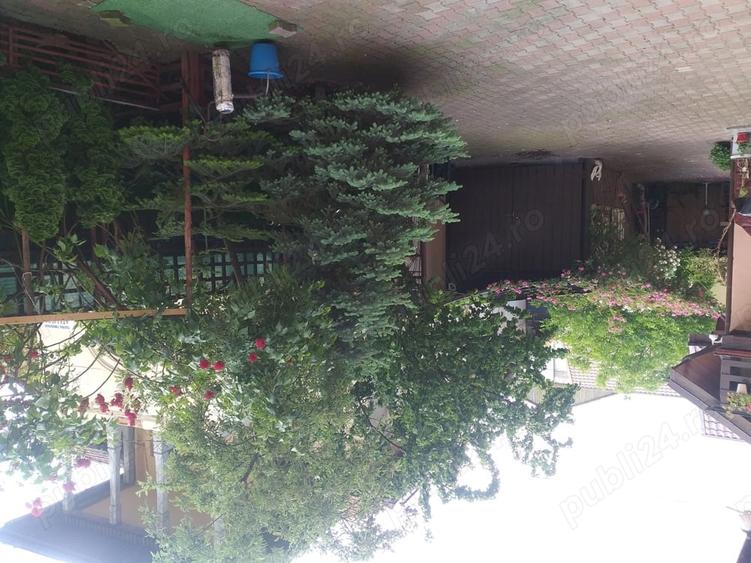 Casă cu Teren 350 Mp în Precista
