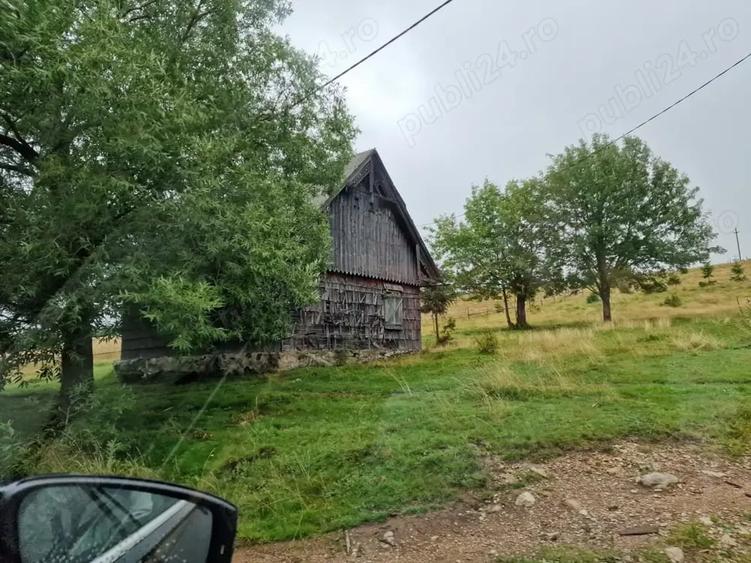 Teren de 7809 mp, în Giurcuța de Sus