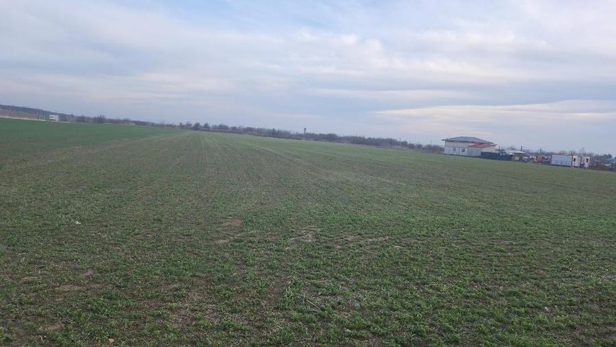 Teren Construcții intravilan de 10000 mp, în Dârza