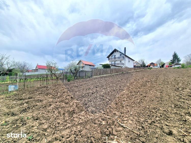 Teren intravilan 826mp Luizi-Calugara - 7