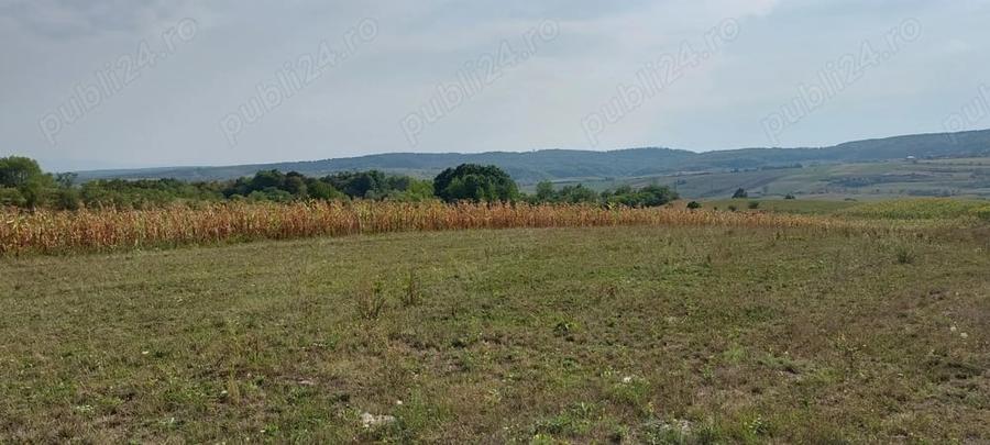 Teren de 18000 mp, în Drăgești