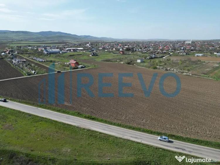 Teren de vanzare, Com. Nicolae Balcescu, Jud. Bacau - 9